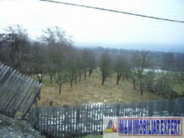 teren-extravilan-2600-mp-de-vanzare-in-corbi-arges-oportunitate-pentru-activitati-agricole-1