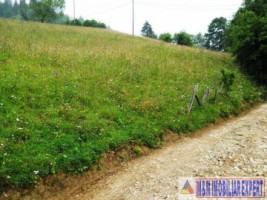 teren-intravilan-1-ha-de-vanzare-in-valea-urdii-dambovicioara-arges-ideal-pentru-proiecte-turistice-si-rezidentiale-1