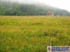 teren-intravilan-1-ha-de-vanzare-in-valea-urdii-dambovicioara-arges-ideal-pentru-proiecte-turistice-si-rezidentiale-2