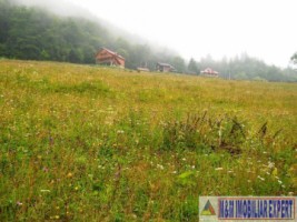 teren-intravilan-1-ha-de-vanzare-in-valea-urdii-dambovicioara-arges-ideal-pentru-proiecte-turistice-si-rezidentiale-3