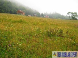 teren-intravilan-1-ha-de-vanzare-in-valea-urdii-dambovicioara-arges-ideal-pentru-proiecte-turistice-si-rezidentiale-4