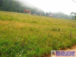 teren-intravilan-1-ha-de-vanzare-in-valea-urdii-dambovicioara-arges-ideal-pentru-proiecte-turistice-si-rezidentiale-5