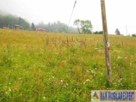 teren-intravilan-1-ha-de-vanzare-in-valea-urdii-dambovicioara-arges-ideal-pentru-proiecte-turistice-si-rezidentiale-6