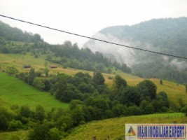 teren-intravilan-1-ha-de-vanzare-in-valea-urdii-dambovicioara-arges-ideal-pentru-proiecte-turistice-si-rezidentiale-8