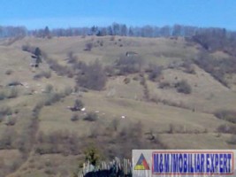 teren-extravilan-266-ha-cu-panorama-in-podul-dambovitei-dambovicioara-arges-ideal-pentru-proiecte-turistice-sau-agricole