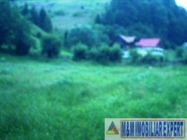 teren-intravilan-6700-mp-de-vanzare-in-valea-cheii-dambovicioara-arges-ideal-pentru-dezvoltari-turistice-si-rezidentiale-2