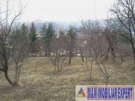 teren-intravilan-de-vanzare-1400-mp-cu-livada-in-apa-sarata-campulung-muscel-arges-ideal-pentru-constructii-rezidentiale