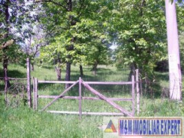 teren-intravilan-de-vanzare-1400-mp-cu-livada-in-apa-sarata-campulung-muscel-arges-ideal-pentru-constructii-rezidentiale-5