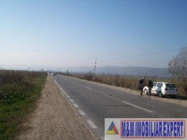 teren-intravilan-5100-mp-piscani-arges-ideal-pentru-constructii-rezidentiale-3