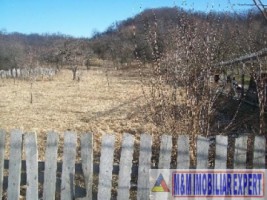 teren-2400-mp-intravilan-de-vanzare-in-capul-piscului-godeni-arges-ideal-pentru-constructii-rezidentiale-1