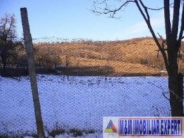 teren-extravilan-5000-mp-de-vanzare-in-hartiesti-arges-ideal-pentru-agricultura-si-investitii-2