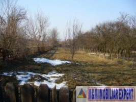 teren-intravilan-2629-mp-domnesti-pietrosani-arges-ideal-pentru-constructii-rezidentiale