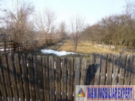 teren-intravilan-2629-mp-domnesti-pietrosani-arges-ideal-pentru-constructii-rezidentiale-1