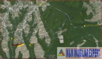 teren-intravilan-de-vanzare-in-mosoaia-tardesti-arges-4870-mp-ideal-pentru-investitii-2