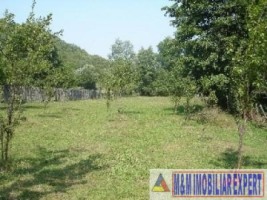 teren-intravilan-de-5400-mp-in-teiu-arges-ideal-pentru-dezvoltare-rezidentiala-sau-agricola-1