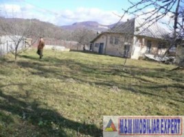 teren-6000-mp-intravilan-valea-mare-pravat-1