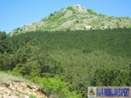 teren-extravilan-de-26-ha-cu-potential-de-exploatare-a-calcarului-situat-in-zona-muntelui-mateias-valea-mare-pravat-arges-5