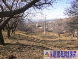 teren-extravilan-de-4-ha-cu-deschidere-la-sosea-ideal-pentru-constructii-comerciale-sau-agricultura-situat-in-valea-mare-pravat-arges