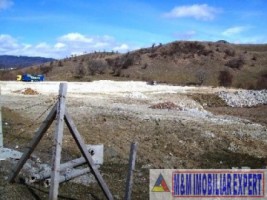 teren-extravilan-de-1-ha-cu-acces-tir-si-cfr-ideal-pentru-parc-industrial-sau-parcare-situat-in-platforma-industriala-holcim-valea-mare-pravat-arges-1