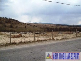 teren-extravilan-de-1-ha-cu-acces-tir-si-cfr-ideal-pentru-parc-industrial-sau-parcare-situat-in-platforma-industriala-holcim-valea-mare-pravat-arges-7