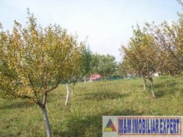 teren-intravilan-de-2500-mp-in-stoenesti-piatra-ideal-pentru-constructii-rezidentiale-1