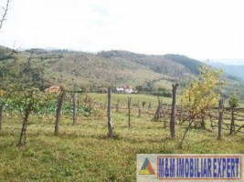 teren-intravilan-de-2500-mp-in-stoenesti-piatra-ideal-pentru-constructii-rezidentiale-2