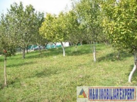 teren-intravilan-de-2500-mp-in-stoenesti-piatra-ideal-pentru-constructii-rezidentiale-3