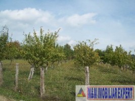 teren-intravilan-de-2500-mp-in-stoenesti-piatra-ideal-pentru-constructii-rezidentiale-7