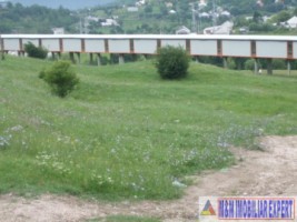 teren-extravilan-de-11-ha-cu-deschidere-de-60-m-la-sosea-potrivit-pentru-constructii-comerciale-valea-mare-pravat-arges-3