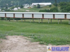 teren-extravilan-de-11-ha-cu-deschidere-de-60-m-la-sosea-potrivit-pentru-constructii-comerciale-valea-mare-pravat-arges-4