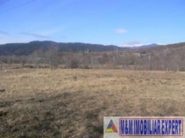 teren-extravilan-de-8000-mp-cu-deschidere-la-sosea-ideal-pentru-centre-comerciale-sau-acces-tir-situat-in-valea-mare-pravat-arges-1