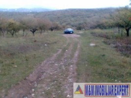 teren-5184-mp-extravilan-valea-mare-pravat-1