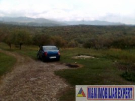 teren-5184-mp-extravilan-valea-mare-pravat-2