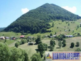 teren-extravilan-2-ha-de-vanzare-in-posada-rucar-arges-ideal-pentru-activitati-agricole-sau-investitii