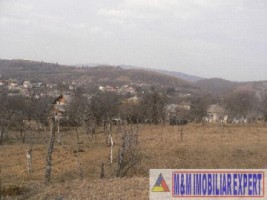 teren-intravilan-de-7470-mp-ideal-pentru-constructii-comerciale-pensiuni-sau-agroturism-valea-mare-pravat-arges-4