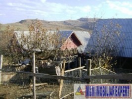 5-vile-microferma-turistica-teren-175-ha-valea-mare-pravat-6