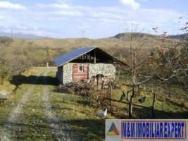 5-vile-microferma-turistica-teren-175-ha-valea-mare-pravat-7