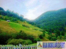 teren-intravilan-8500-mp-de-vanzare-in-valea-urdii-dambovicioara-arges-ideal-pentru-dezvoltari-turistice-si-rezidentiale