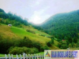 teren-intravilan-8500-mp-de-vanzare-in-valea-urdii-dambovicioara-arges-ideal-pentru-dezvoltari-turistice-si-rezidentiale-1