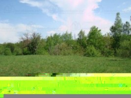 teren-intravilan-de-vanzare-5867-mp-pe-calea-pietroasa-campulung-muscel-arges-ideal-pentru-constructii-rezidentiale-sau-investitie-2