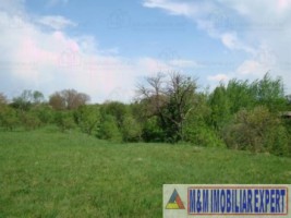 teren-intravilan-de-vanzare-5867-mp-pe-calea-pietroasa-campulung-muscel-arges-ideal-pentru-constructii-rezidentiale-sau-investitie-3