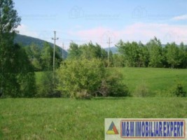 teren-intravilan-de-vanzare-5867-mp-pe-calea-pietroasa-campulung-muscel-arges-ideal-pentru-constructii-rezidentiale-sau-investitie-6