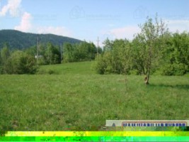 teren-intravilan-de-vanzare-5867-mp-pe-calea-pietroasa-campulung-muscel-arges-ideal-pentru-constructii-rezidentiale-sau-investitie-8