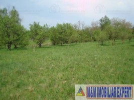 teren-intravilan-de-vanzare-5867-mp-pe-calea-pietroasa-campulung-muscel-arges-ideal-pentru-constructii-rezidentiale-sau-investitie-9