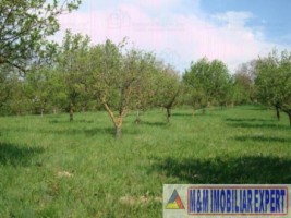 teren-intravilan-de-vanzare-5867-mp-pe-calea-pietroasa-campulung-muscel-arges-ideal-pentru-constructii-rezidentiale-sau-investitie-10