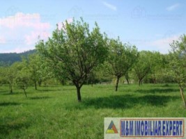 teren-intravilan-de-vanzare-5867-mp-pe-calea-pietroasa-campulung-muscel-arges-ideal-pentru-constructii-rezidentiale-sau-investitie-11