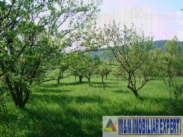 teren-intravilan-de-vanzare-5867-mp-pe-calea-pietroasa-campulung-muscel-arges-ideal-pentru-constructii-rezidentiale-sau-investitie-12