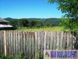 teren-intravilan-2400-mp-de-vanzare-schitu-golesti-arges-ideal-pentru-constructii-rezidentiale-sau-turistice-3