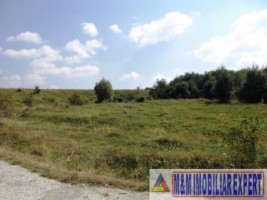 teren-extravilan-2800-mp-in-cretisoara-campulung-muscel-arges-oportunitate-pentru-agricultura-si-investitii-5