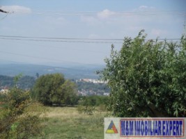 teren-extravilan-2800-mp-in-cretisoara-campulung-muscel-arges-oportunitate-pentru-agricultura-si-investitii-7